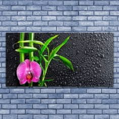 tulup.si Slika na akrilnem steklu Bamboo flower drops 140x70 cm 2 obešalnika