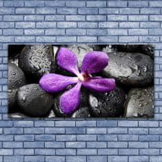 tulup.si Slika na akrilnem steklu Flower stones art 140x70 cm 2 obešalnika