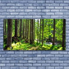 tulup.si Slika na akrilnem steklu Narava rastlin forest trees 140x70 cm 4 obešalnika