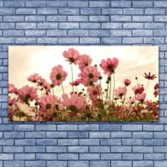 tulup.si Slika na akrilnem steklu Cvetje wildflowers travnik narava 140x70 cm 2 obešalnika