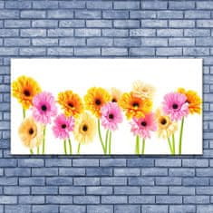 tulup.si Slika na akrilnem steklu Pisane daisy cvetje 140x70 cm 2 obešalnika