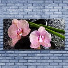 tulup.si Slika na akrilnem steklu Orchid rože orhideja zen 140x70 cm 2 obešalnika