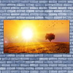 tulup.si Slika na akrilnem steklu Sunset meadow ptice 140x70 cm 2 obešalnika