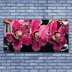 tulup.si Slika na akrilnem steklu Orchid rože narava poganjki 140x70 cm 2 obešalnika