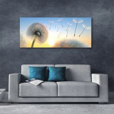 tulup.si Slika na platnu Dandelion flower rastlin 125x50 cm