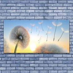 tulup.si Slika na platnu Dandelion flower rastlin 125x50 cm