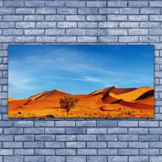 tulup.si Slika na akrilnem steklu Pokrajina desert sand 140x70 cm 4 obešalnika