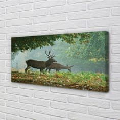 tulup.si Slika na platnu Deer jesenski gozd 120x60 cm