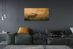 tulup.si Slika na platnu Deer sunrise 120x60 cm