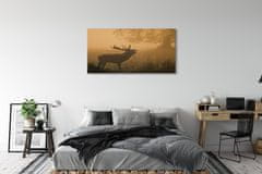 tulup.si Slika na platnu Deer sunrise 120x60 cm