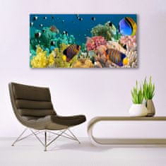 tulup.si Slika na akrilnem steklu Barrier reef narava 140x70 cm 2 obešalnika