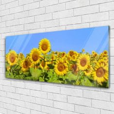 tulup.si Slika na akrilnem steklu Sončnica flower rastlin 125x50 cm 4 obešalnika