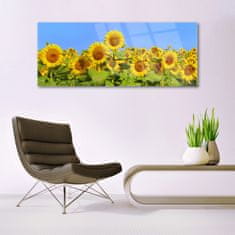 tulup.si Slika na akrilnem steklu Sončnica flower rastlin 125x50 cm 4 obešalnika