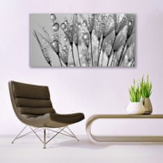 tulup.si Slika na akrilnem steklu Dandelion rastlin 140x70 cm 2 obešalnika