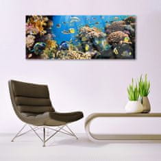 tulup.si Slika na akrilnem steklu Barrier reef narava 125x50 cm 4 obešalnika