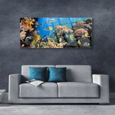 tulup.si Slika na akrilnem steklu Barrier reef narava 125x50 cm 4 obešalnika