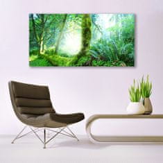 tulup.si Slika na akrilnem steklu Forest moss narava 140x70 cm 4 obešalnika