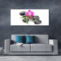 tulup.si Slika na akrilnem steklu Flower stones art 125x50 cm 4 obešalnika