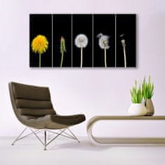 tulup.si Slika na akrilnem steklu Dandelion rastlin 140x70 cm 4 obešalnika