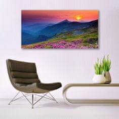 tulup.si Slika na akrilnem steklu Mountain travnik flowers landscape 140x70 cm 2 obešalnika