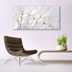 tulup.si Slika na akrilnem steklu Dandelion rastlin 140x70 cm 2 obešalnika