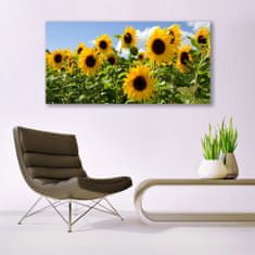 tulup.si Slika na akrilnem steklu Sončnica flower rastlin 140x70 cm 2 obešalnika