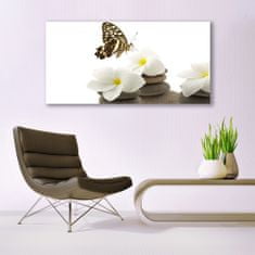 tulup.si Slika na akrilnem steklu Butterfly flower rastlin stones 140x70 cm 4 obešalnika