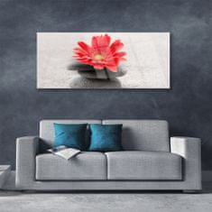 tulup.si Slika na akrilnem steklu Gerbera cvet 125x50 cm 2 obešalnika