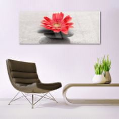 tulup.si Slika na akrilnem steklu Gerbera cvet 125x50 cm 2 obešalnika