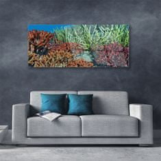 tulup.si Slika na akrilnem steklu Barrier reef narava 125x50 cm 4 obešalnika