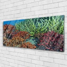 tulup.si Slika na akrilnem steklu Barrier reef narava 125x50 cm 4 obešalnika