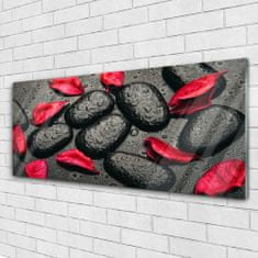 tulup.si Slika na akrilnem steklu Kosmiči stones art 125x50 cm 4 obešalnika