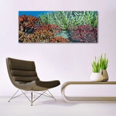 tulup.si Slika na akrilnem steklu Barrier reef narava 125x50 cm 4 obešalnika