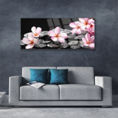 tulup.si Slika na akrilnem steklu Plumeria cvet na zidu 125x50 cm 2 obešalnika