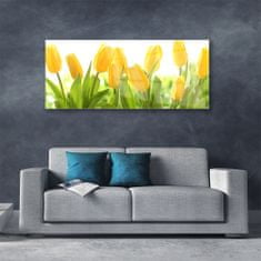 tulup.si Slika na akrilnem steklu Tulipani cvetovi rastlin 125x50 cm 4 obešalnika