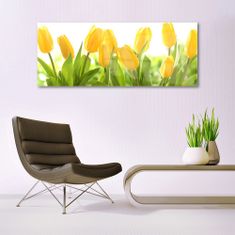 tulup.si Slika na akrilnem steklu Tulipani cvetovi rastlin 125x50 cm 4 obešalnika