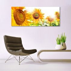 tulup.si Slika na akrilnem steklu Sončnica flower rastlin 125x50 cm 2 obešalnika