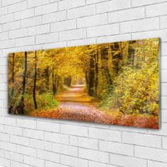 tulup.si Slika na akrilnem steklu Narava rastlin forest lane 125x50 cm 4 obešalnika