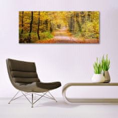 tulup.si Slika na akrilnem steklu Narava rastlin forest lane 125x50 cm 4 obešalnika