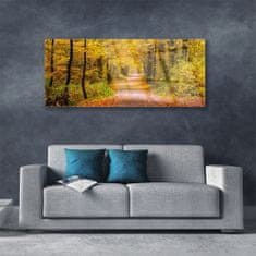 tulup.si Slika na akrilnem steklu Narava rastlin forest lane 125x50 cm 4 obešalnika