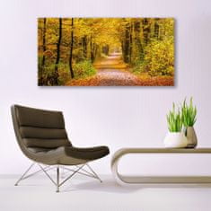 tulup.si Slika na akrilnem steklu Narava rastlin forest lane 140x70 cm 2 obešalnika