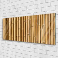 tulup.si Slika na akrilnem steklu Bamboo rastlin narava 125x50 cm 4 obešalnika