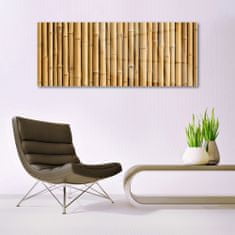 tulup.si Slika na akrilnem steklu Bamboo rastlin narava 125x50 cm 4 obešalnika