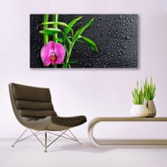 tulup.si Slika na akrilnem steklu Bamboo flower drops 140x70 cm 2 obešalnika