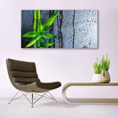 tulup.si Slika na akrilnem steklu Bamboo leaf narava rastlin 140x70 cm 4 obešalnika