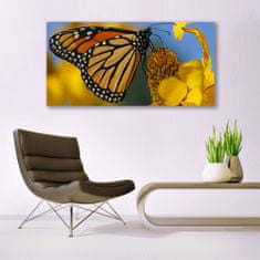 tulup.si Slika na akrilnem steklu Butterfly cvet narava 140x70 cm 4 obešalnika