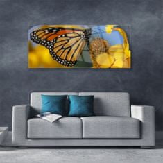 tulup.si Slika na akrilnem steklu Butterfly cvet narava 125x50 cm 2 obešalnika