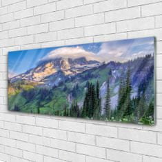 tulup.si Slika na akrilnem steklu Forest landscape mountain nature 125x50 cm 2 obešalnika