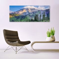 tulup.si Slika na akrilnem steklu Forest landscape mountain nature 125x50 cm 2 obešalnika