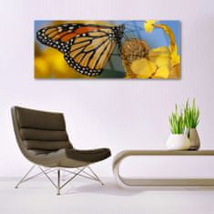 tulup.si Slika na akrilnem steklu Butterfly cvet narava 125x50 cm 2 obešalnika